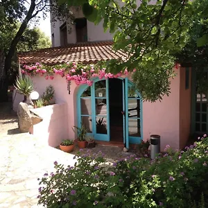 Scintilla San Teodoro (Sardinia)
